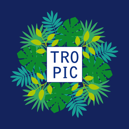 Tropical leaves of monstera and palm trees. Abstract green foliage with square border. Dark blue background. Perfect for flyer design, booklets, advertising.のイラスト素材