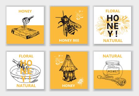 Honey, Bee, Hive. Vector illustration emblemのイラスト素材