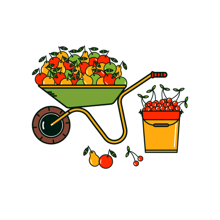 Wheelbarrow full of apples and pears. Isolated bucket with cherries. Harvest. Line style.のイラスト素材