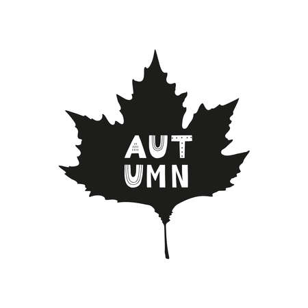 Autumn hand drawn lettering in Scandinavian style and black maple leaf silhouette. Season design element for greeting card, print, poster, t-shirt. Autumn maple leaf. Vector illustrationのイラスト素材