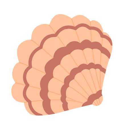 Exotic scallop underwater mollusc on white backgroundのイラスト素材
