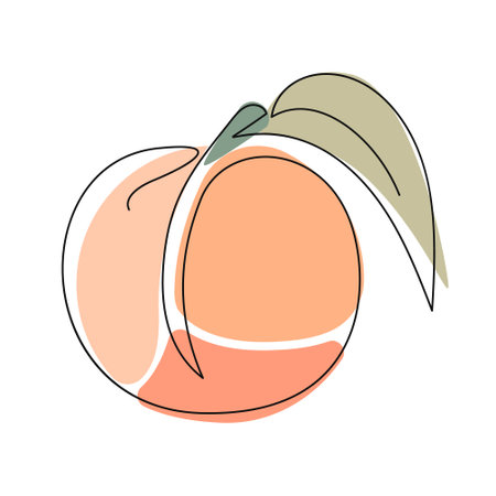 Whole Peach tropical fruit with colorful shapes illustration design line art styleのイラスト素材