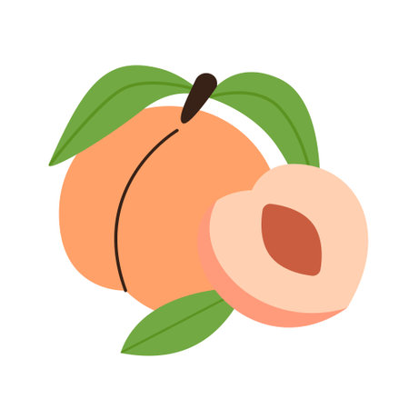 Peach whole and slice with leaves fruit, vegetarian vitamin healthy food iconのイラスト素材