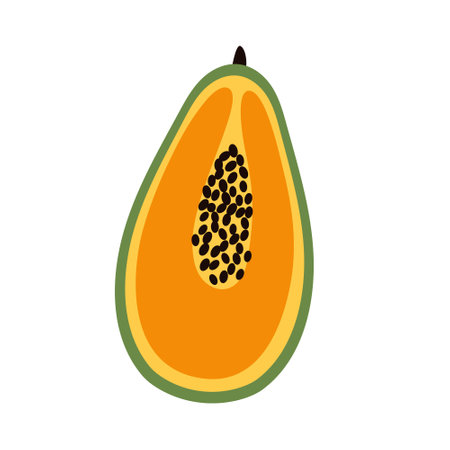 Papaya exotic fruit vegetarian vitamin healthy food iconのイラスト素材