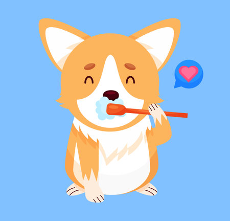 Cartoon Corgi Dog cleans teethのイラスト素材