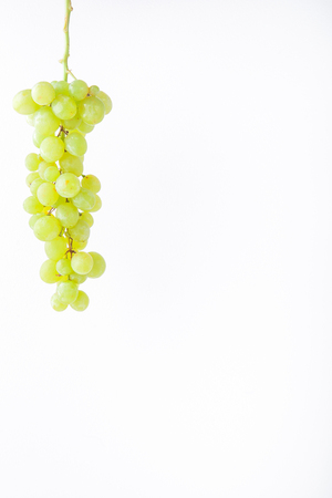 Green grapes on white background minimalism. Copy spaceの写真素材