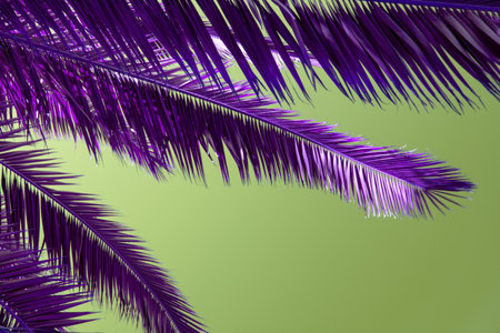 Purple palm leaves on a green background. Tropical background. Copy space.の写真素材