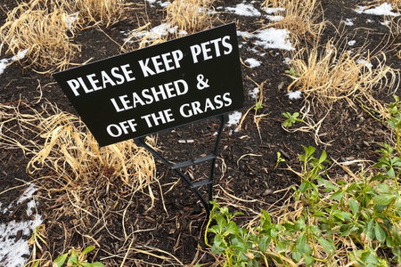 Please keep the dog out of the grass sign on the ground.の写真素材