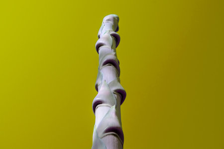 3D Illustration of a Human Skeleton Foot on a Colored Backgroundの写真素材