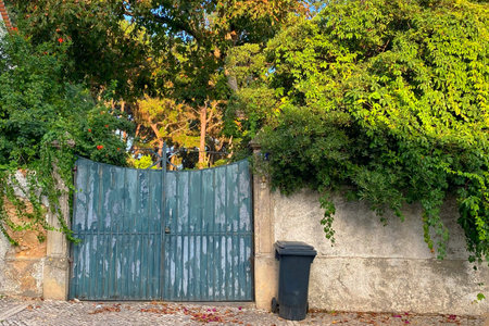 Old metal gate with green plants on the wall and a trash canの写真素材
