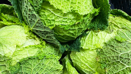 fresh savoy cabbage in the market, close-up, backgroundの写真素材
