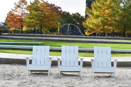 White chairs on the beach in the park with autumn trees in the backgroundの写真素材