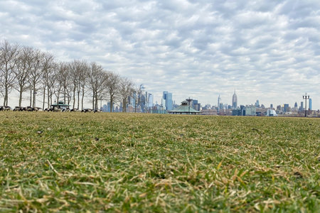 View of New York City from the park.