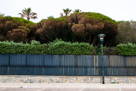 street lamp and bushes in the park on a cloudy day in springの写真素材
