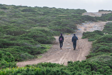 Rear view of a man and woman walking on a trail in the dunesの写真素材