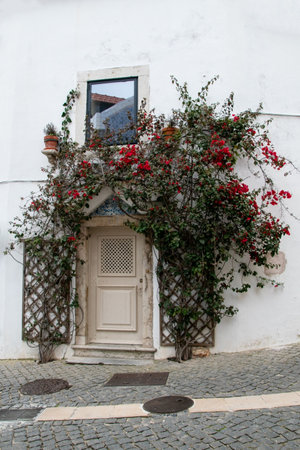 White door with red flowers in the old town of Cascais, Portugalの写真素材