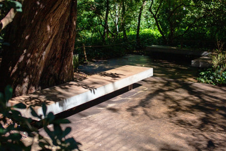 Wooden bench in the park with sunlight in the morning, Thailand.の写真素材