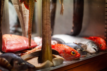 Fresh fish in a fishmonger, close-up view.の写真素材