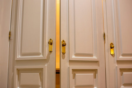 White wooden door with gold handles, part of the interior of the room