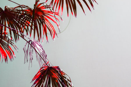 Colorful palm leaves on white background with copy space for text.の写真素材
