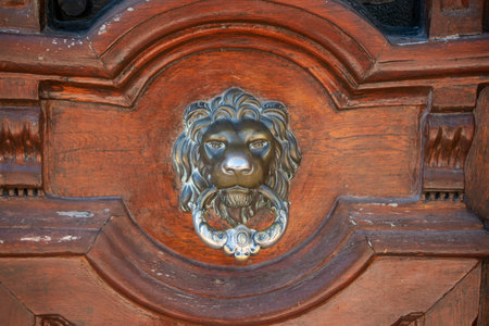 Lion door knocker on wooden door, closeup of photoの写真素材