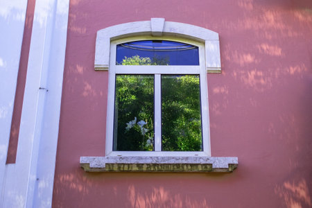 Old wooden window on pink wall with green trees in the background.