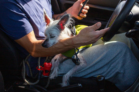 A man with a dog in a car. Close-up.のeditorial素材