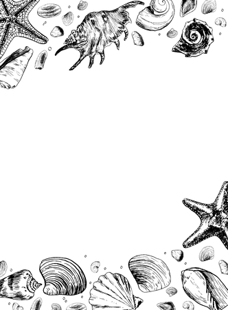 The finished card with sea shells for your project. Marine elements are hand-drawn with ink and pen.の写真素材