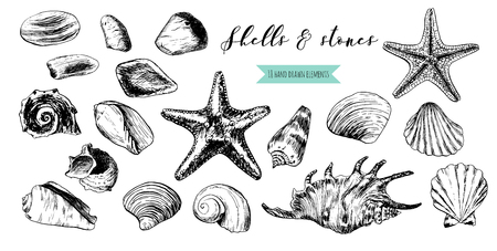 The finished card with sea shells for your project. Marine elements are hand-drawn with ink and pen.の写真素材