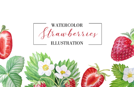 Strawberry painted watercolors.の写真素材