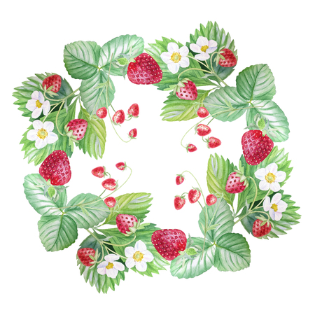 Strawberry painted watercolors.の写真素材