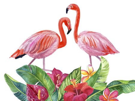 Watercolor illustration of beautiful flamingo among tropical leaves isolated on white backgroundの写真素材