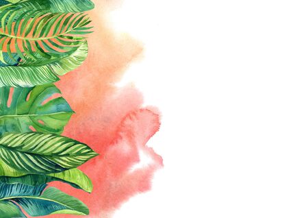 Card with illustration of tropical leaves on pink blurred watercolor backgroundの写真素材