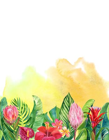 Card with illustration of tropical flowers and leaves on yellow blurred watercolor backgroundの写真素材