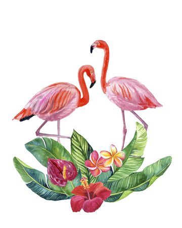 Watercolor illustration of beautiful pink flamingos with tropical flowers and leaves isolated on white backgroundの写真素材