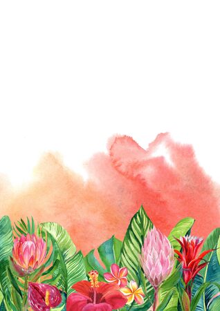 card with watercolor illustration of tropical flowers and leaves isolated on white backgroundの写真素材