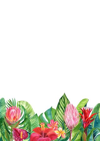 Card with watercolor illustration of tropical flowers and leaves isolated on white backgroundの写真素材