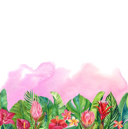 card with watercolor illustration of tropical flowers and leaves isolated on pink backgroundの写真素材