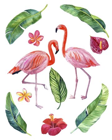 watercolor illustration of beautiful pink flamingos with tropical flowers and leaves isolated on white backgroundの写真素材