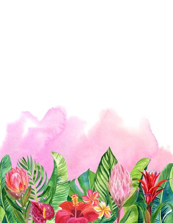 card with watercolor illustration of tropical flowers and leaves isolated on pink backgroundの写真素材
