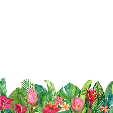 Card with watercolor illustration of tropical flowers and leaves isolated on white backgroundの写真素材