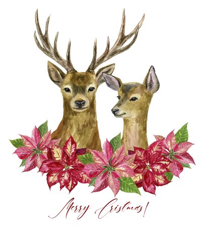 Ready-made greeting card Merry Christmas and Happy New Year! A wreath with a cute deer. Watercolor hand illustration.の写真素材