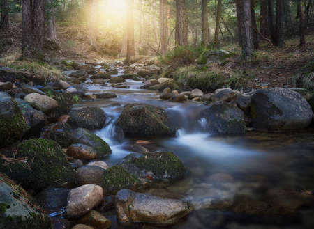 beautiful sunset, with the sunlight entering the pine forest, stream and waterfalls of Valsain in Segoviaの写真素材