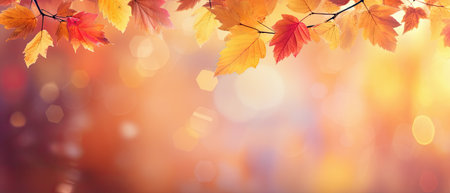 Autumn leaves background with bokeh effect. horizontal bannerの素材