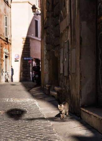 Small street in the centre of Rome, Italy.の写真素材