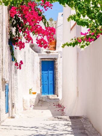 Old beautiful Santorini street. Cyclades, Greece.の写真素材