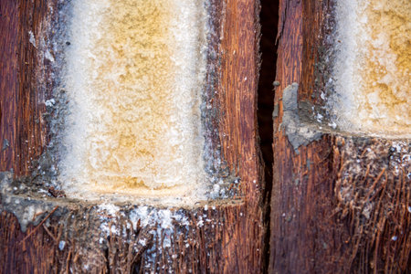 Sea Salt manufactures. Making sea salt in Bali. Salt making process. Manufacturesの写真素材