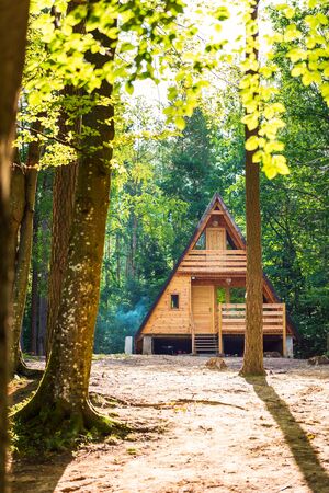 Tranquil forest scene. Wooden house in a forestの写真素材