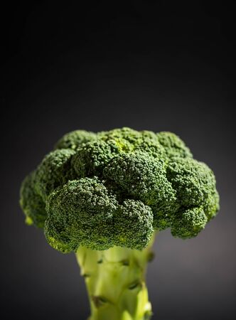 large green broccoli on a black backgroundの写真素材
