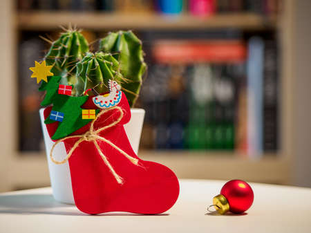 Christmas wooden ornament near green small cactus with library on a background. non typical christmas conceptの写真素材